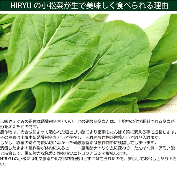 Amazon.co.jp: 小松菜 コマツナ こまつな 1kg 化学農薬・肥料不使用
